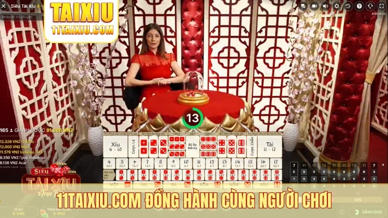 11taixiu.com đồng hành cùng người chơi