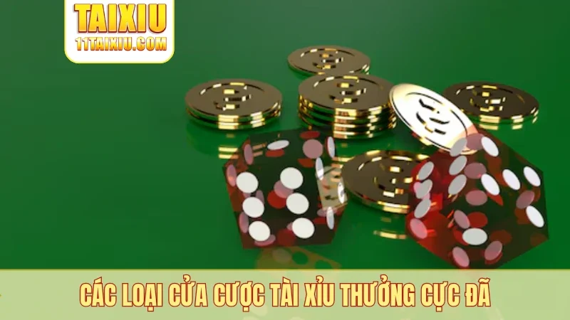 Các loại cửa cược tài xỉu