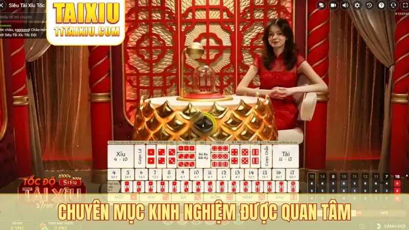 Chuyên mục kinh nghiệm được quan tâm