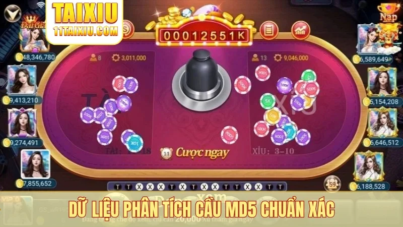 Dữ liệu phân tích cầu MD5 chuẩn xác
