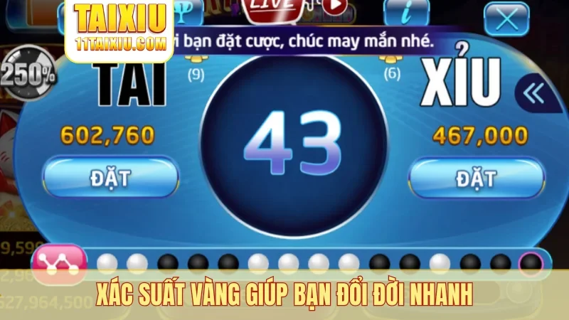 Xác suất vàng giúp bạn đổi đời nhanh